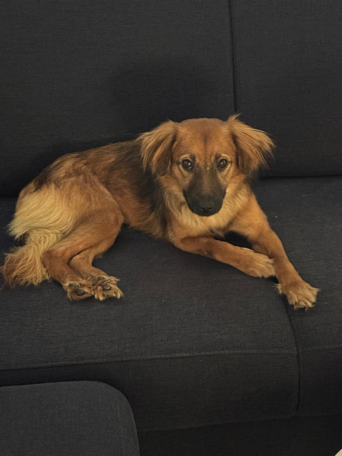 Frida