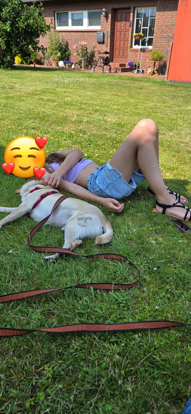 Sunny